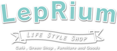 LepRium レプリウム カフェ、グリーン、家具